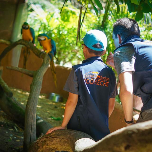 Zoo De La Flèche (10)