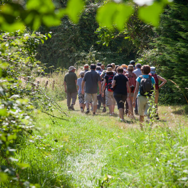 Randonnée visite à Thorée-les-Pins (Vallée du Loir)