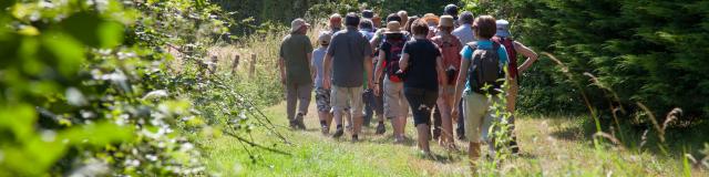 Randonnée visite à Thorée-les-Pins (Vallée du Loir)