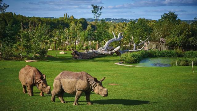 Zoo De La Fleche (2)