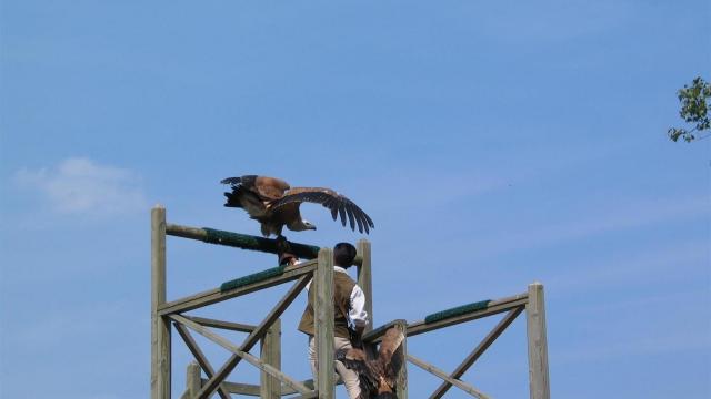 Zoo De La Fleche (5)