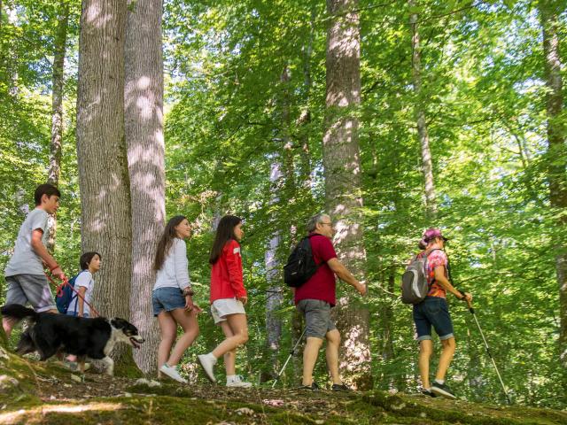 Randonnée Forêt de Bercé - Stevan Lira