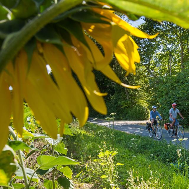 La vallée du Loir à vélo