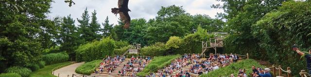 Zoo de la Flèche