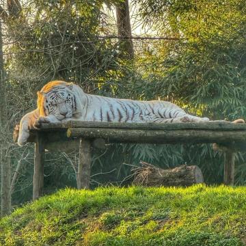 Loir outlet Zoo